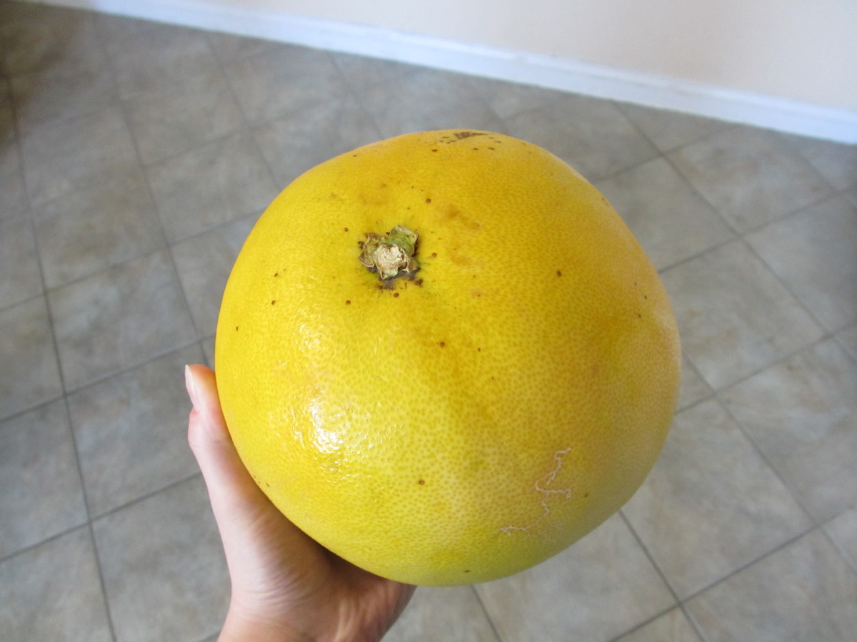 What Does a Pomelo Fruit Taste Like? Delishably