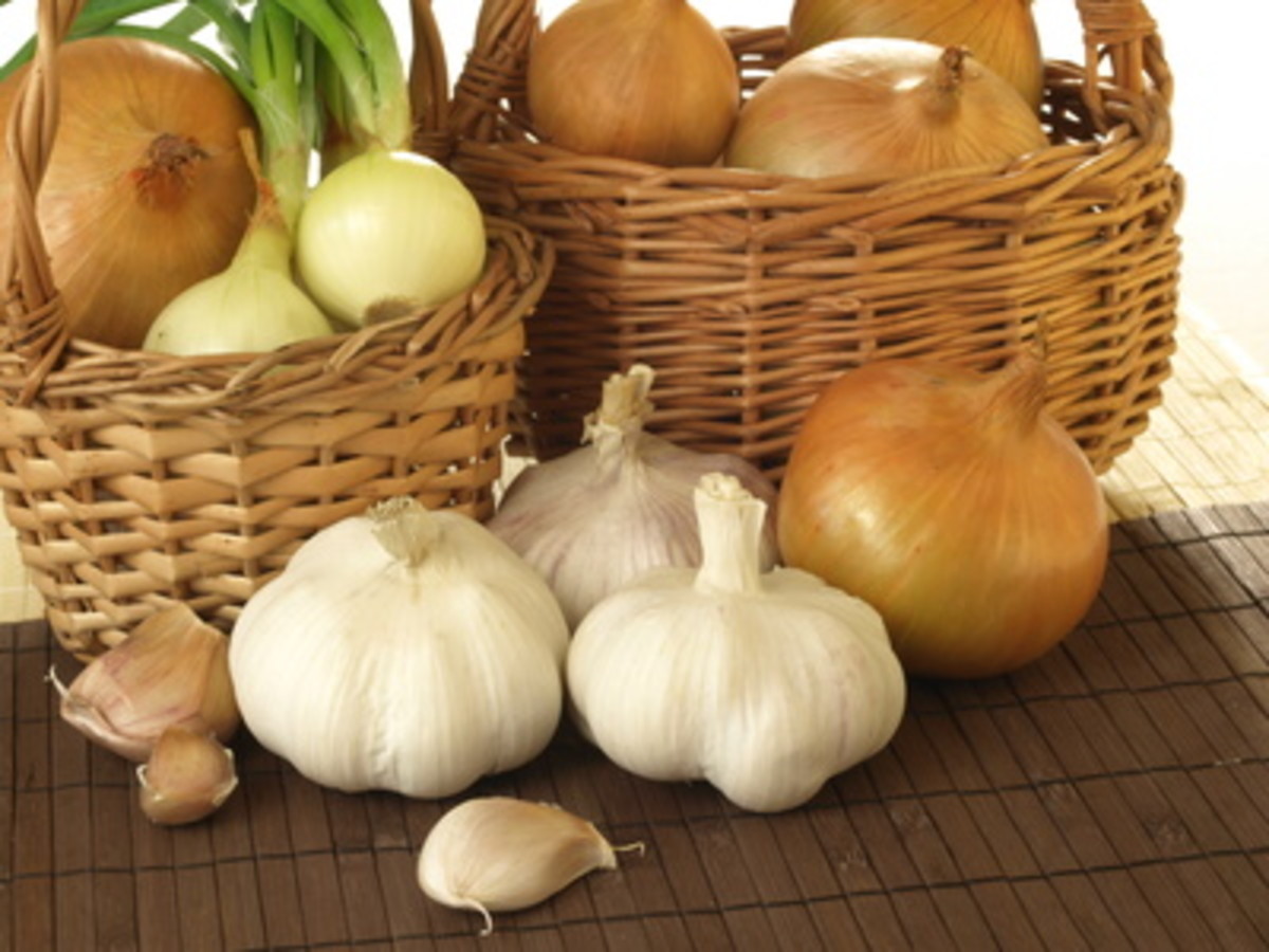 Cats' toxic reaction to Lily pollen, Poinsettias, Onion,Garlic, Raisins