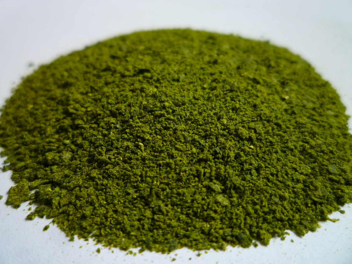 How to Make Your Own Fish Food PetHelpful