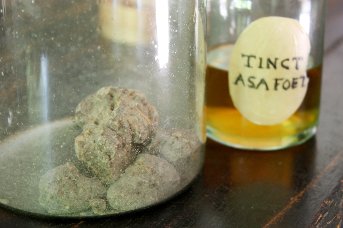 Benefits of Asafoetida (Hing) The Digestive Spice RemedyGrove