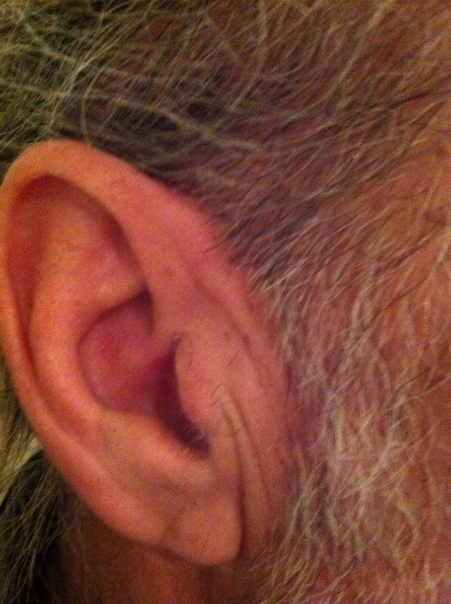 Mens Facial Hair Grooming; Tips for Girlfriends and Wives Bellatory