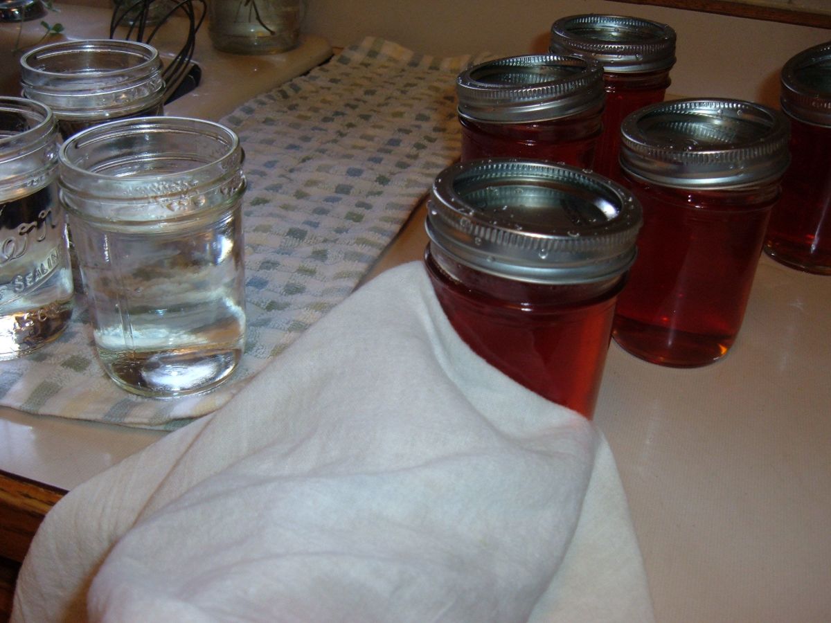 How to Make Nasturtium Jelly From Scratch Delishably