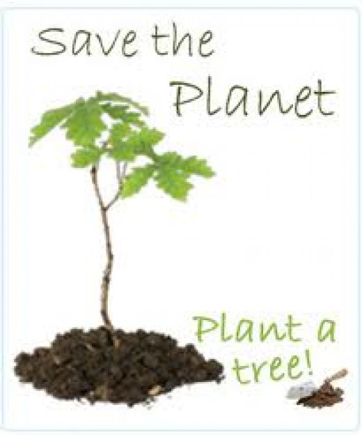 Why Do We Plant Trees? HubPages