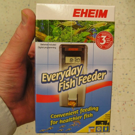 Best Automatic Fish Feeders for Aquariums