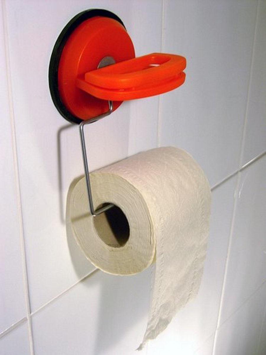 Top Ten Interesting and Fun Facts About Toilet Paper Owlcation