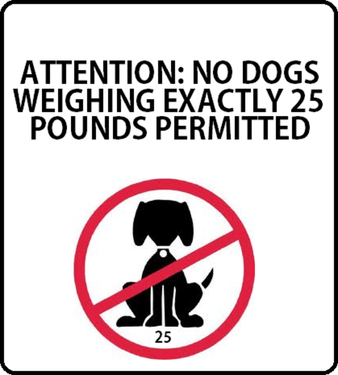 Dogs that Weigh Under 25 Pounds HubPages