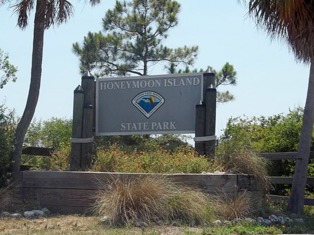 Honeymoon Island State Park Dunedin, Florida WanderWisdom
