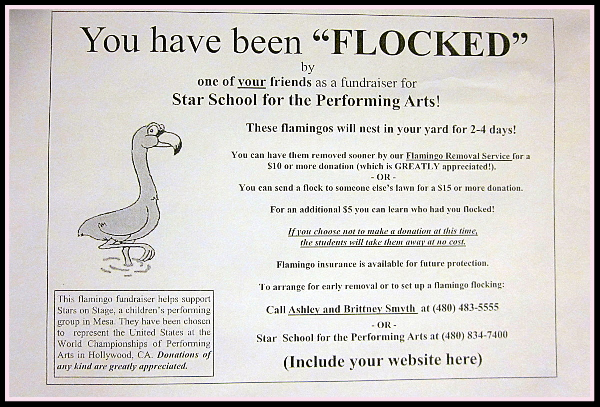 A Fun Flamingo Flocking Fundraiser HubPages