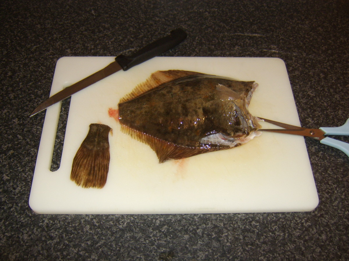 How to Cook Flounder (With Recipes) Delishably