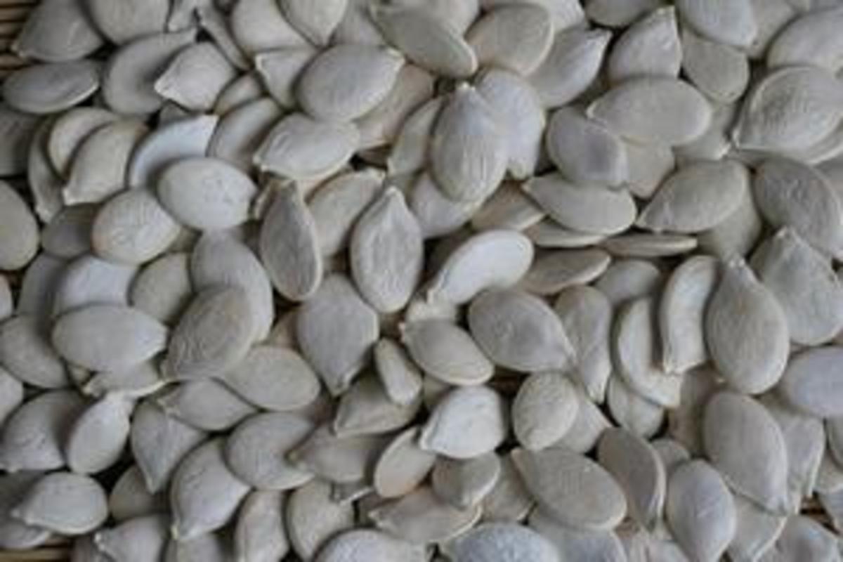Benefits of Raw Pumpkin Seeds for You and Your Dog HubPages