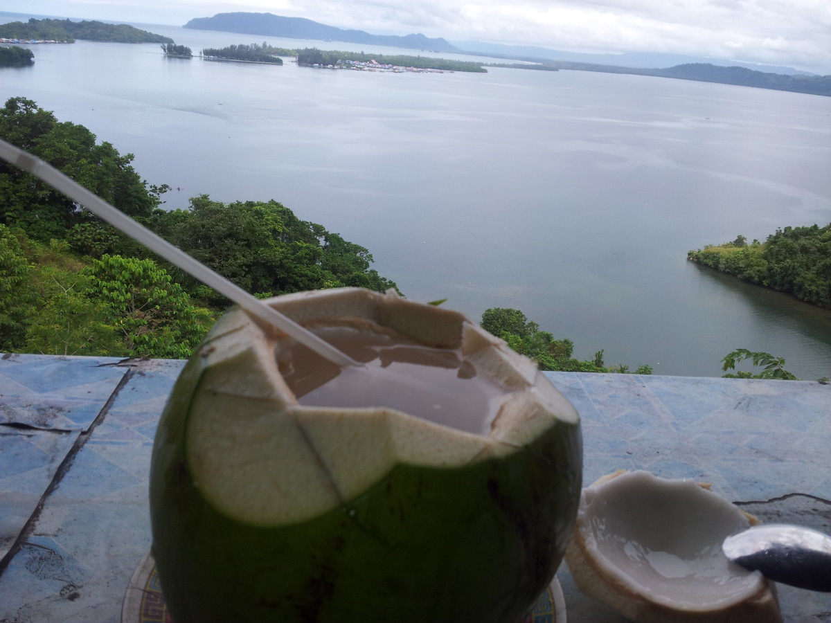 Coconut Water Fast Benefits HubPages
