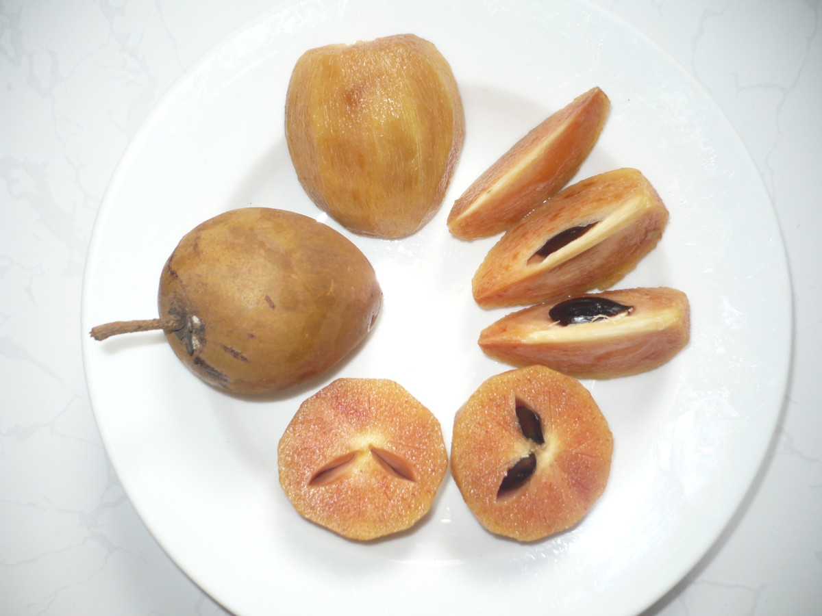 The Health Benefits of Chikoo (Chickoo) or Sapodilla Fruit CalorieBee