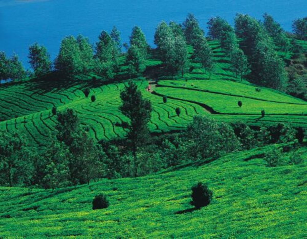 5 Places to Visit in Karnataka During Summer WanderWisdom