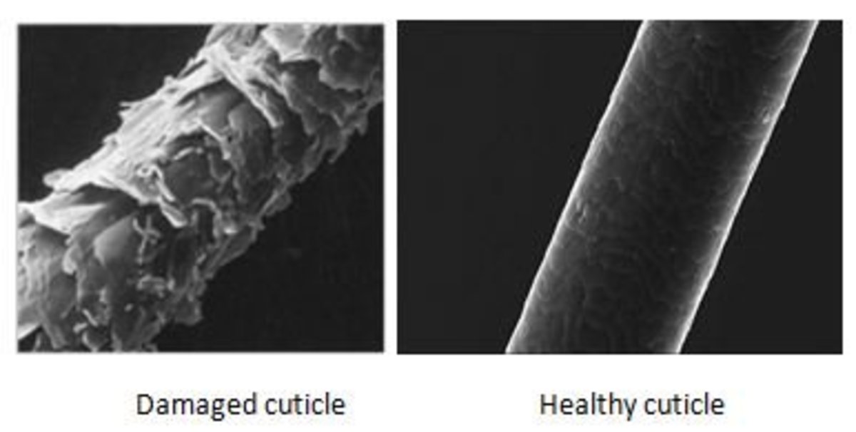 How to Achieve Healthier Hair HubPages