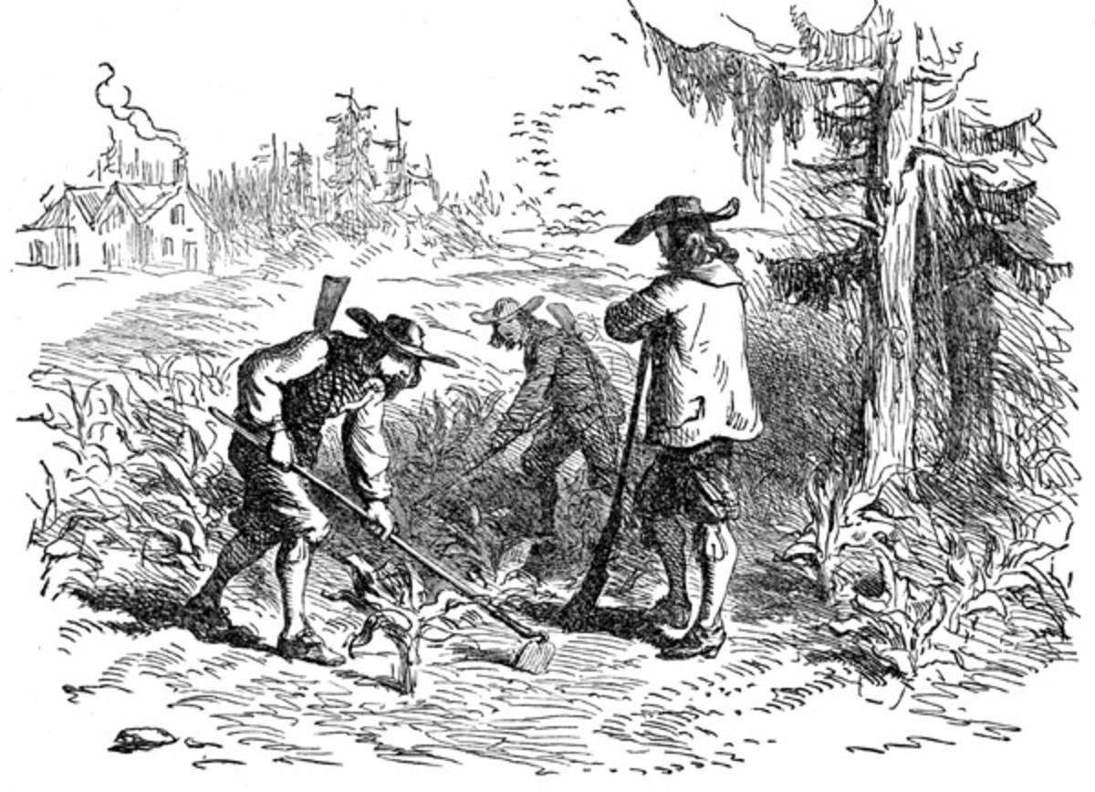 How did the Motivations of the Colonists Impact Colonial