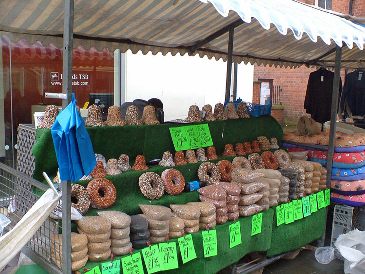 Best Selling Products for Market Stalls ToughNickel