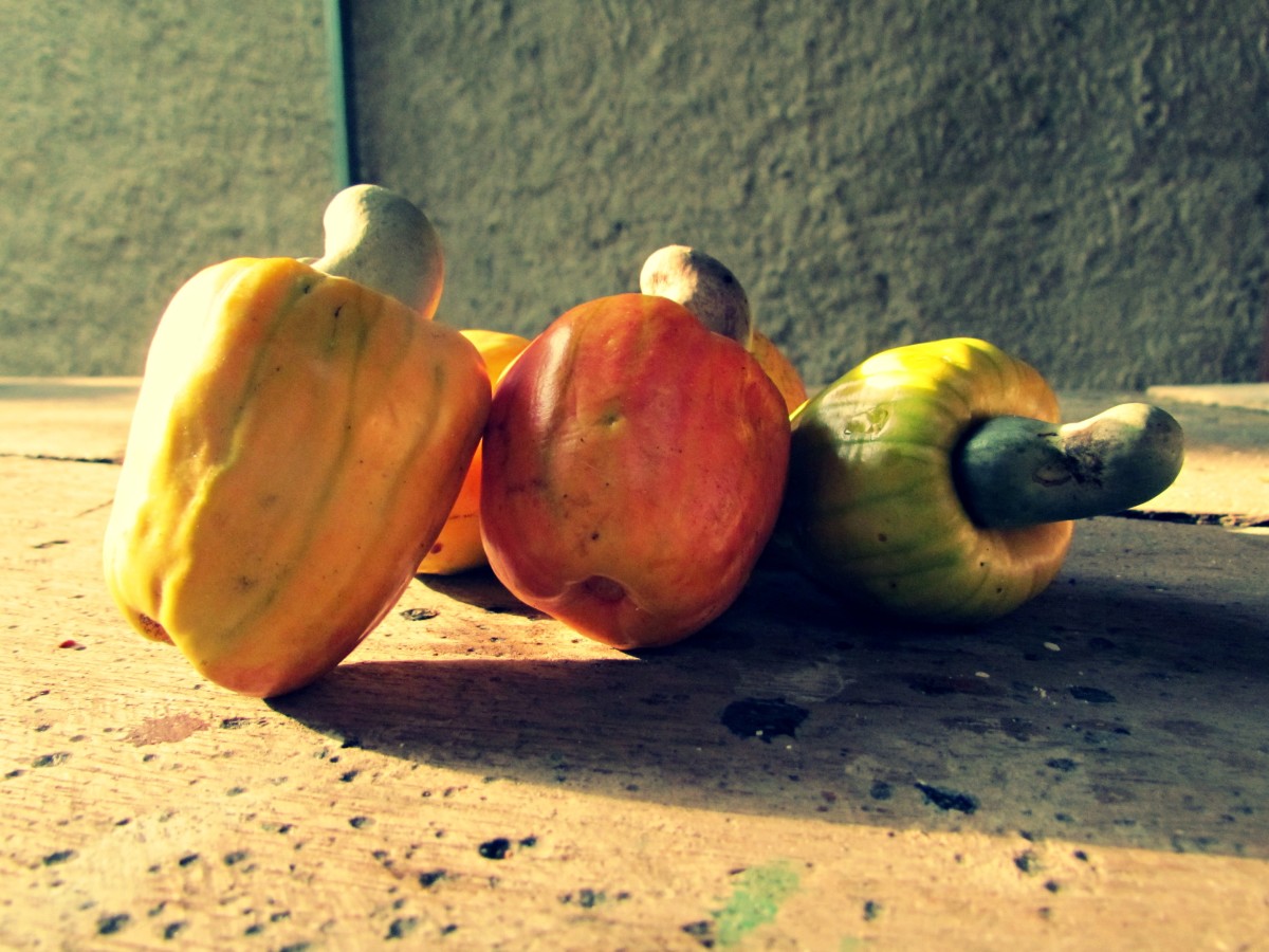 Nutritional Benefits of Costa Rican Cashew Fruit CalorieBee