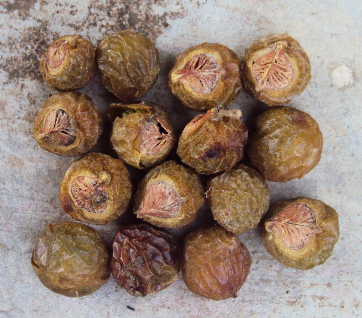 Ritha, Aritha Or Soap Nuts The 100 Natural Detergent And Cleaner