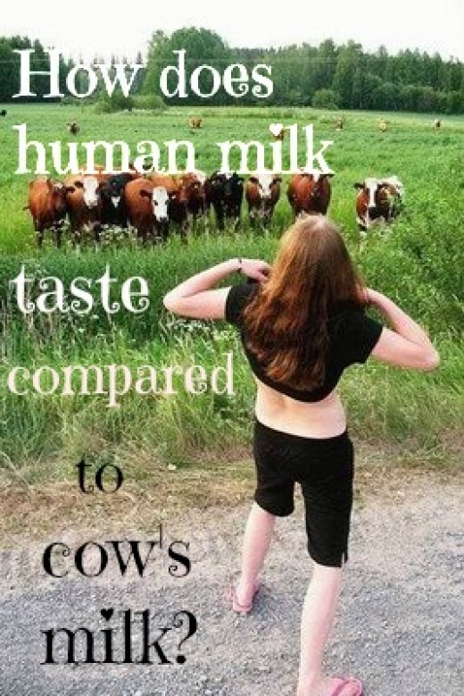 An Experiment Comparing The Taste of Cow's Milk to Human Breast Milk
