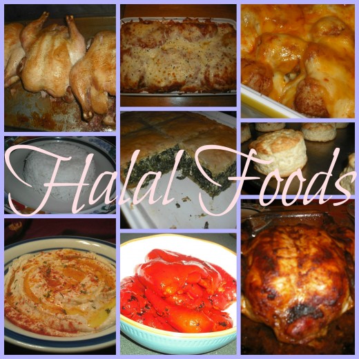 What is Halal Food? Islamic Dietary Guidelines HubPages