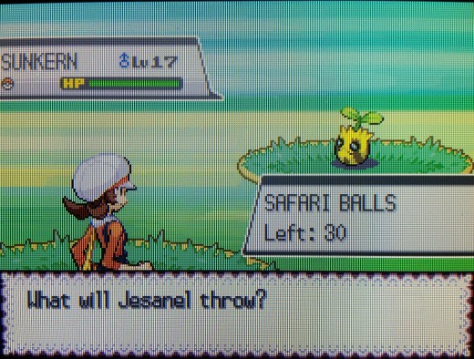 How to Catch Chansey in the Pokémon Games LevelSkip