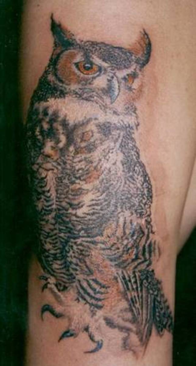Owl Tattoo Meanings