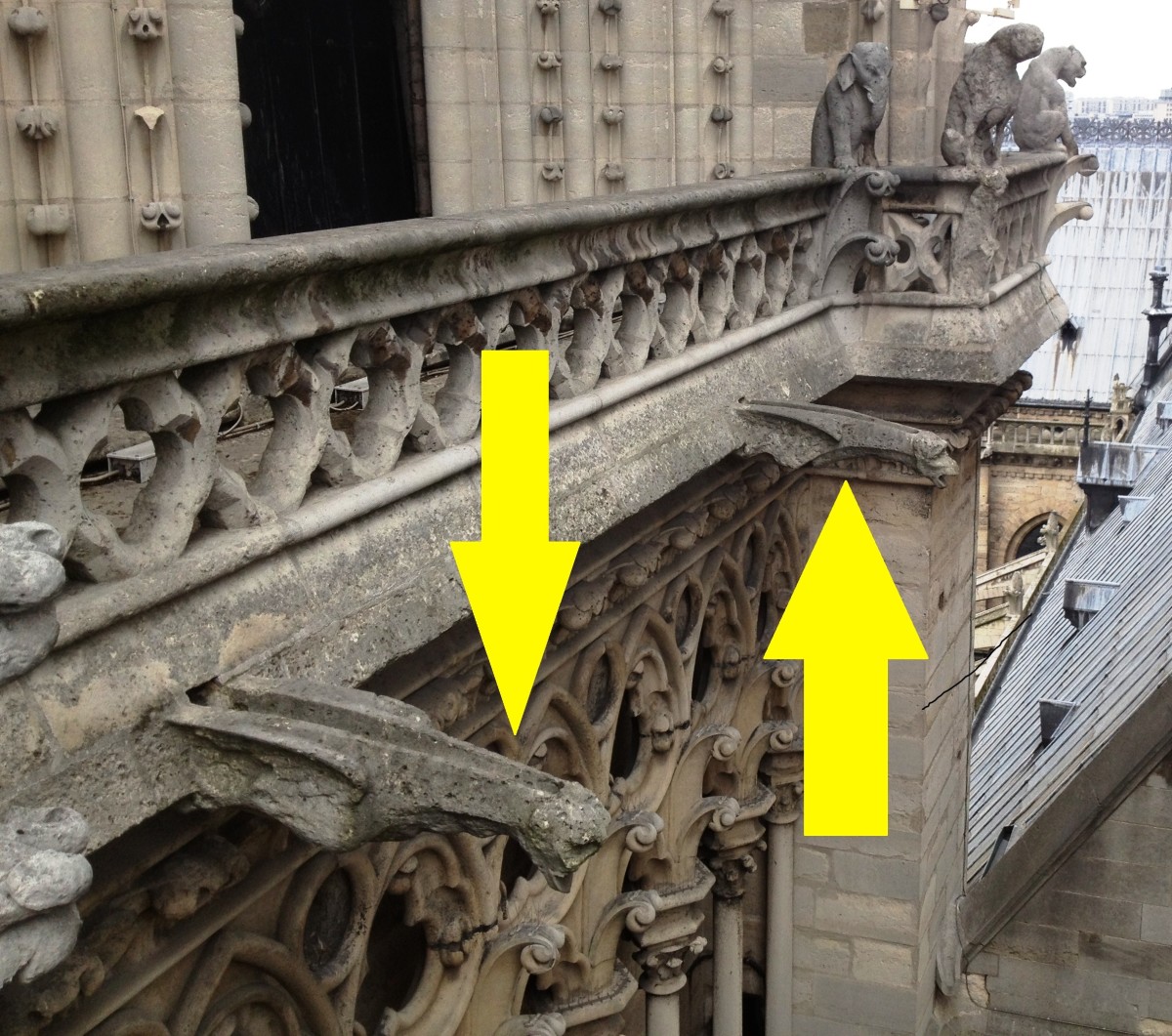 The Gargoyles of Notre Dame Cathedral in the Heart of Paris WanderWisdom