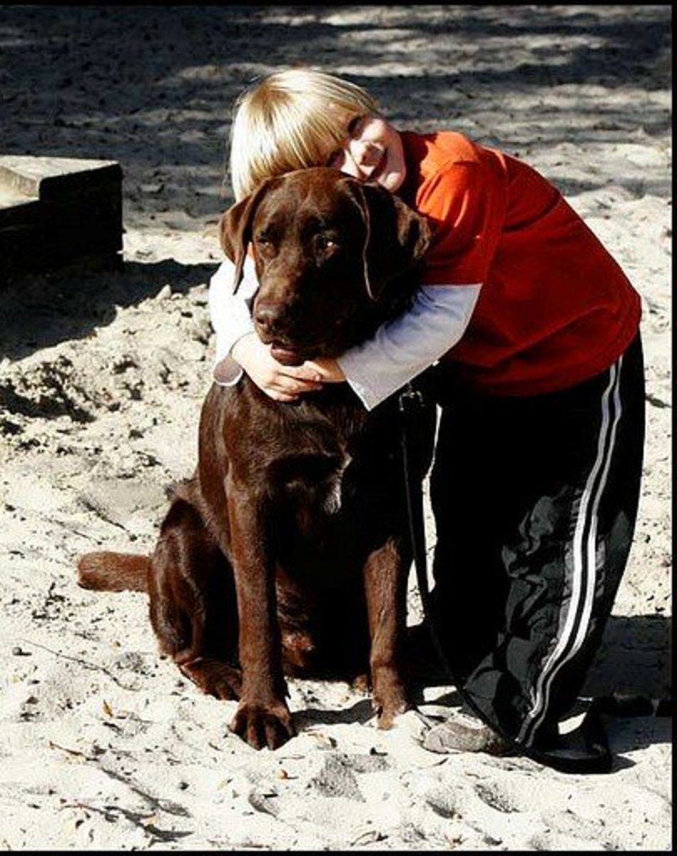 Best Large Dog Breeds From Canada PetHelpful