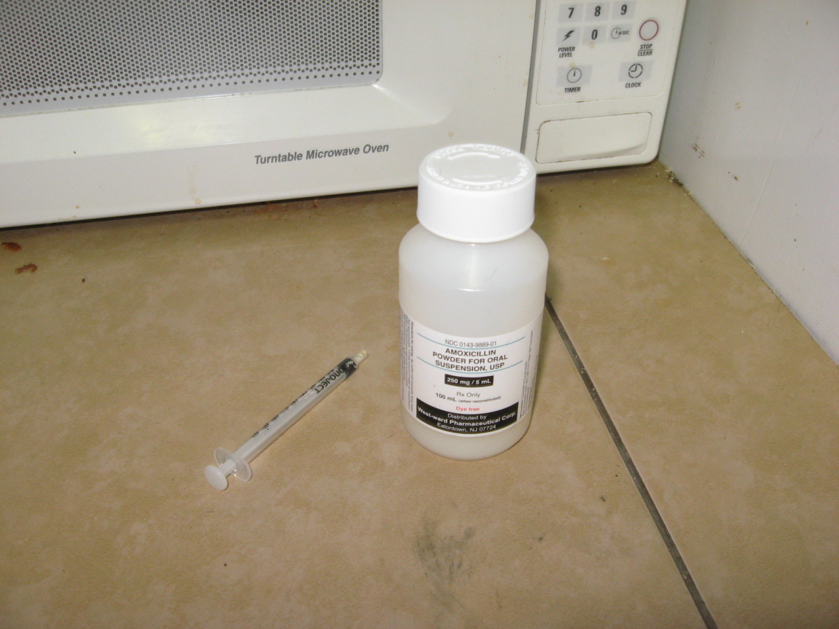 Dog Pneumonia My Puppy is Sick! PetHelpful