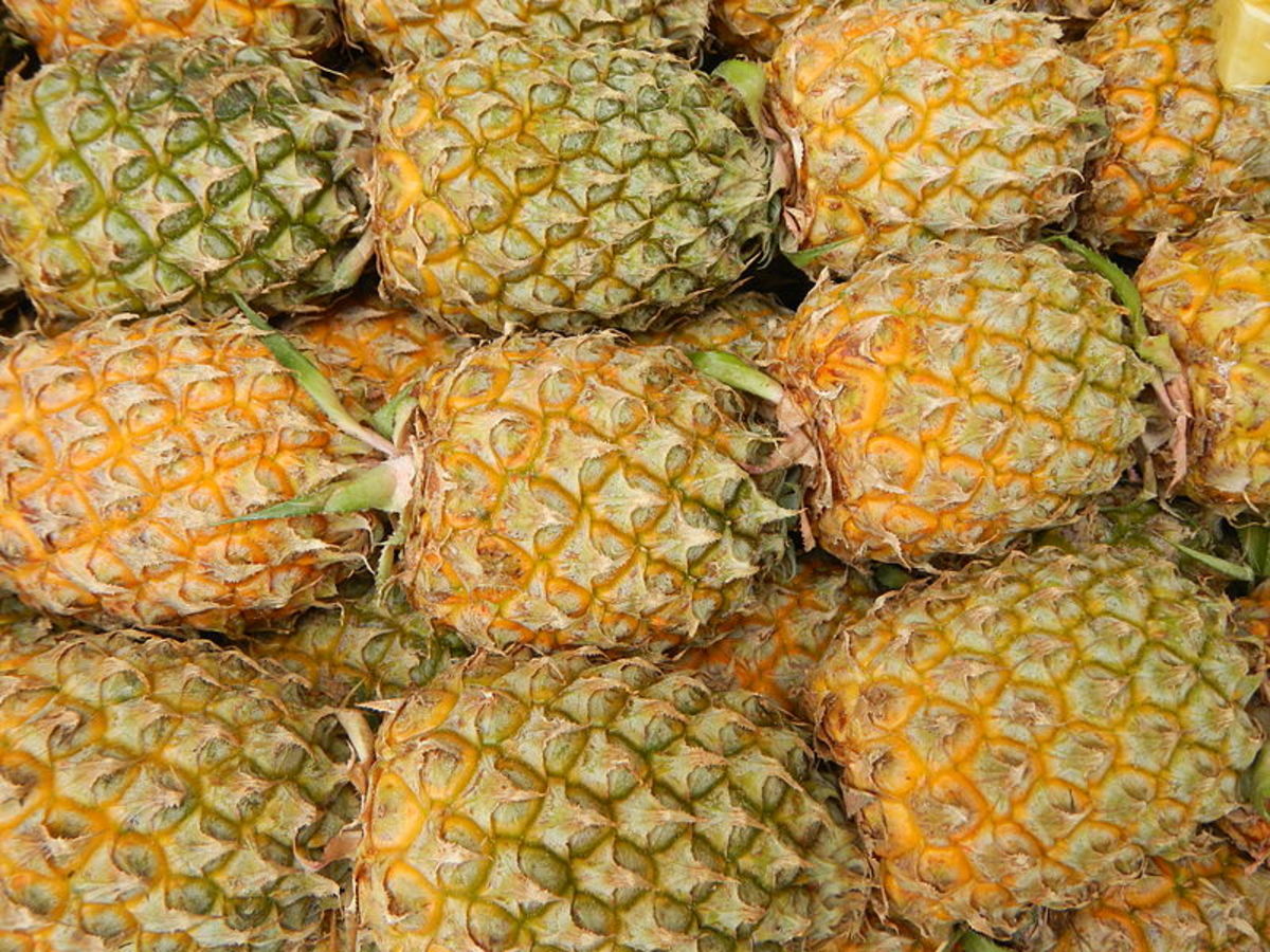 How to Eat a Pineapple in Type 2 Diabetes HubPages