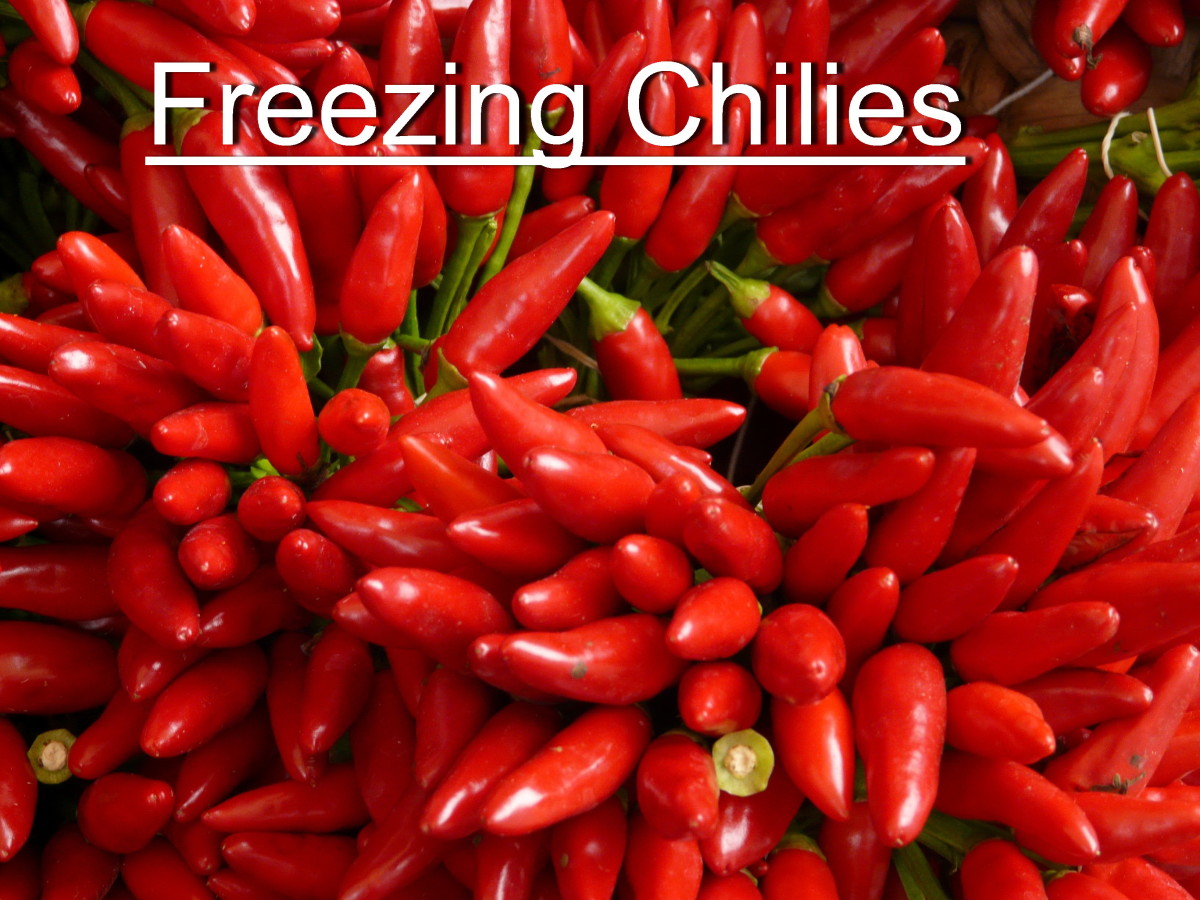 How to Freeze Hot Malagueta Chili Peppers Delishably
