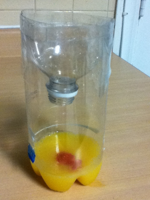 3 Genius, Foolproof Fly Traps to Make at Home Dengarden