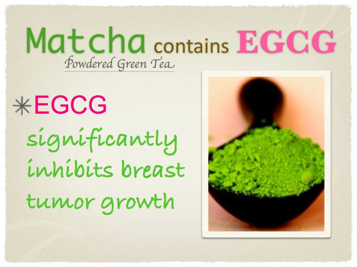 Health Benefits of Matcha Green Tea Powder CalorieBee