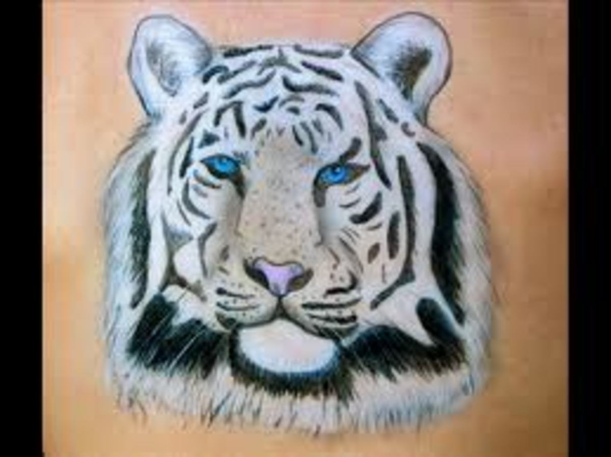 White Tiger Tattoo DesignsWhite Tiger Tattoo IdeasWhite Tiger Tattoo