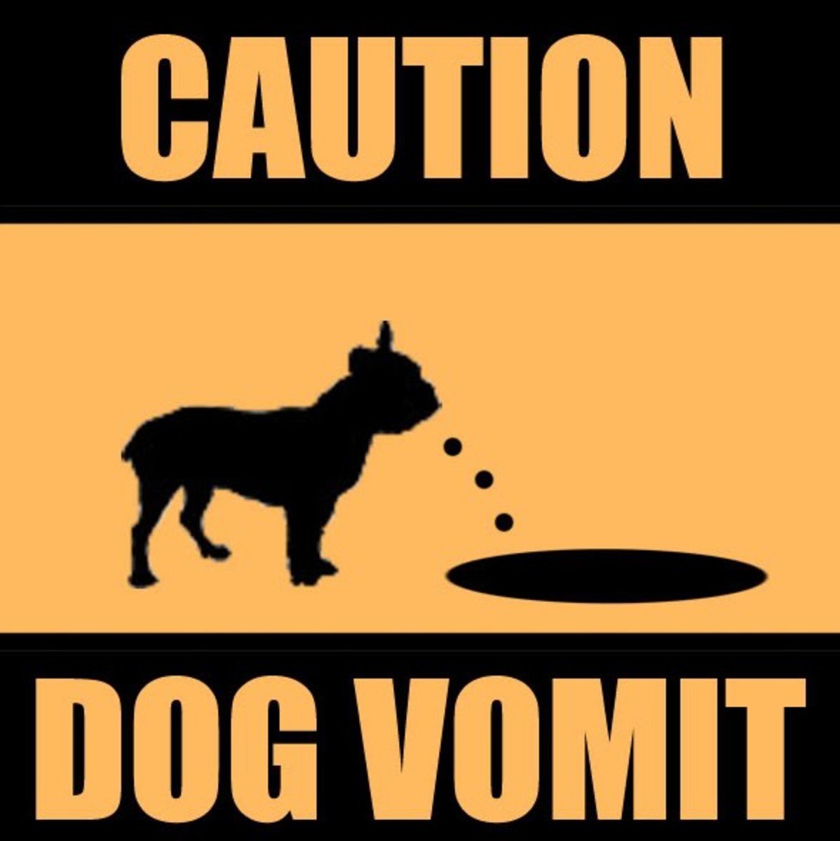 Causes of Dog Vomiting Bile PetHelpful
