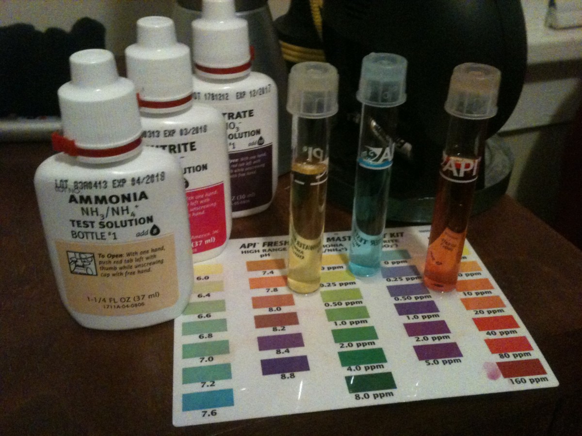 Tips on Reading Aquarium Water Tests hubpages