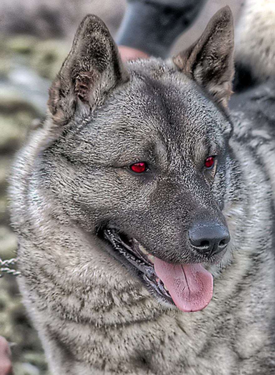 5 Popular Legends of Hispanic America HubPages