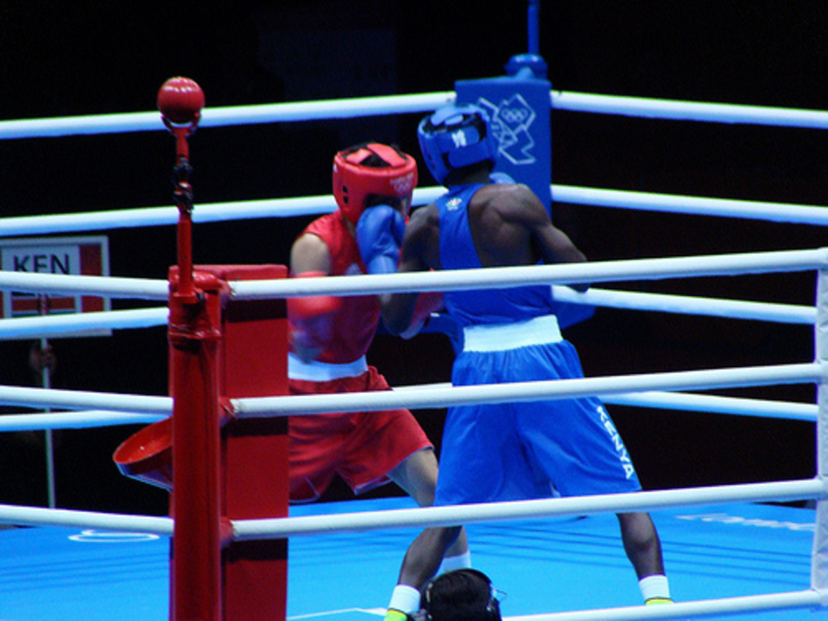 MMA The Four Staple Martial Arts Disciplines HubPages