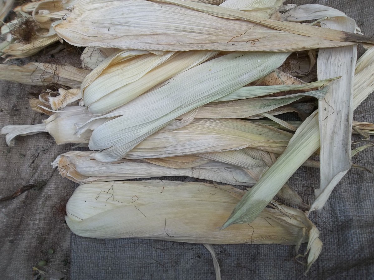 Rabbits keeping them healthy on pellets and other foods HubPages