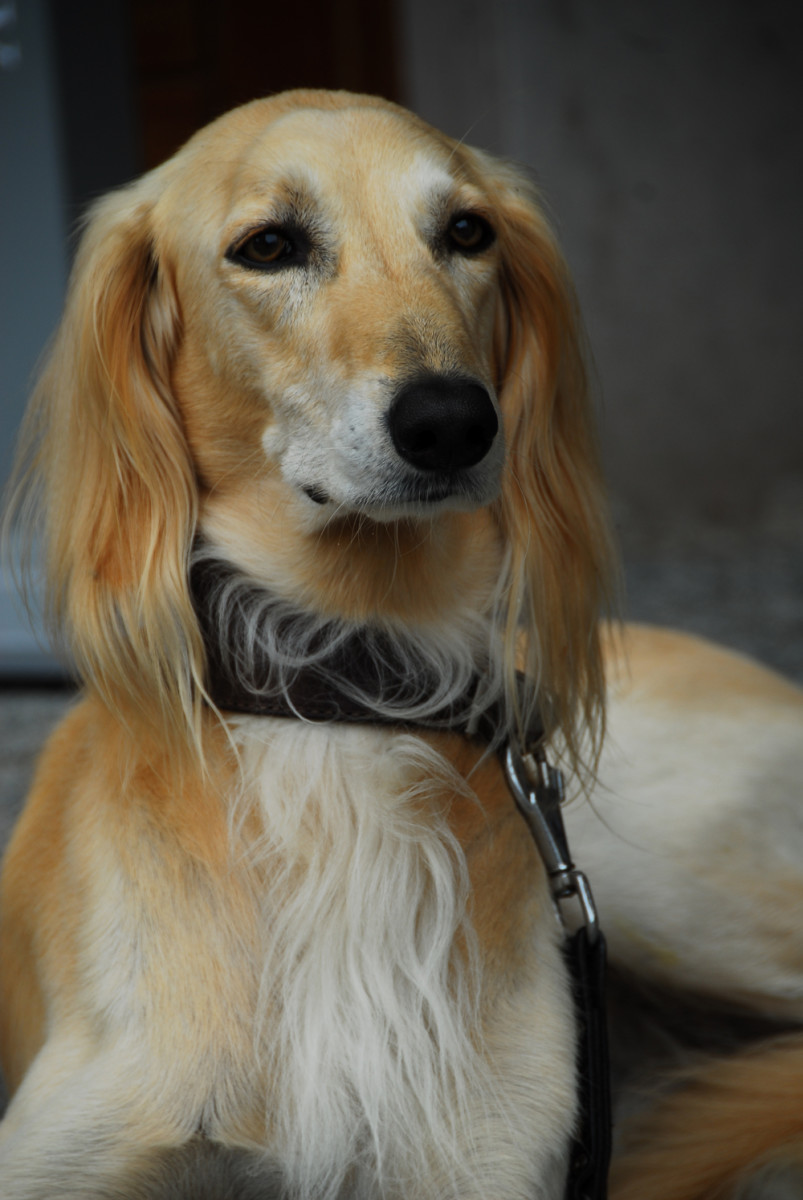 Best RV Washing Machine Portable, Light and Inexpensive AxleAddict