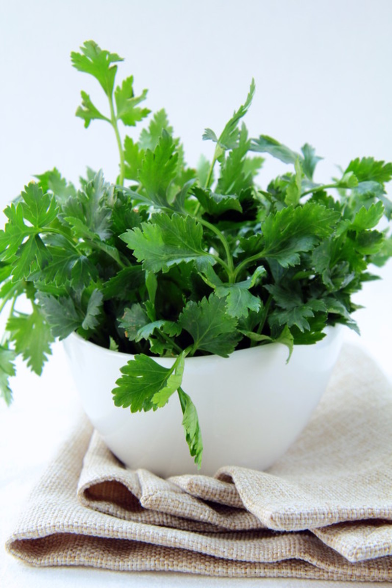 An Effective Natural Kidney Stone Treatment RemedyGrove