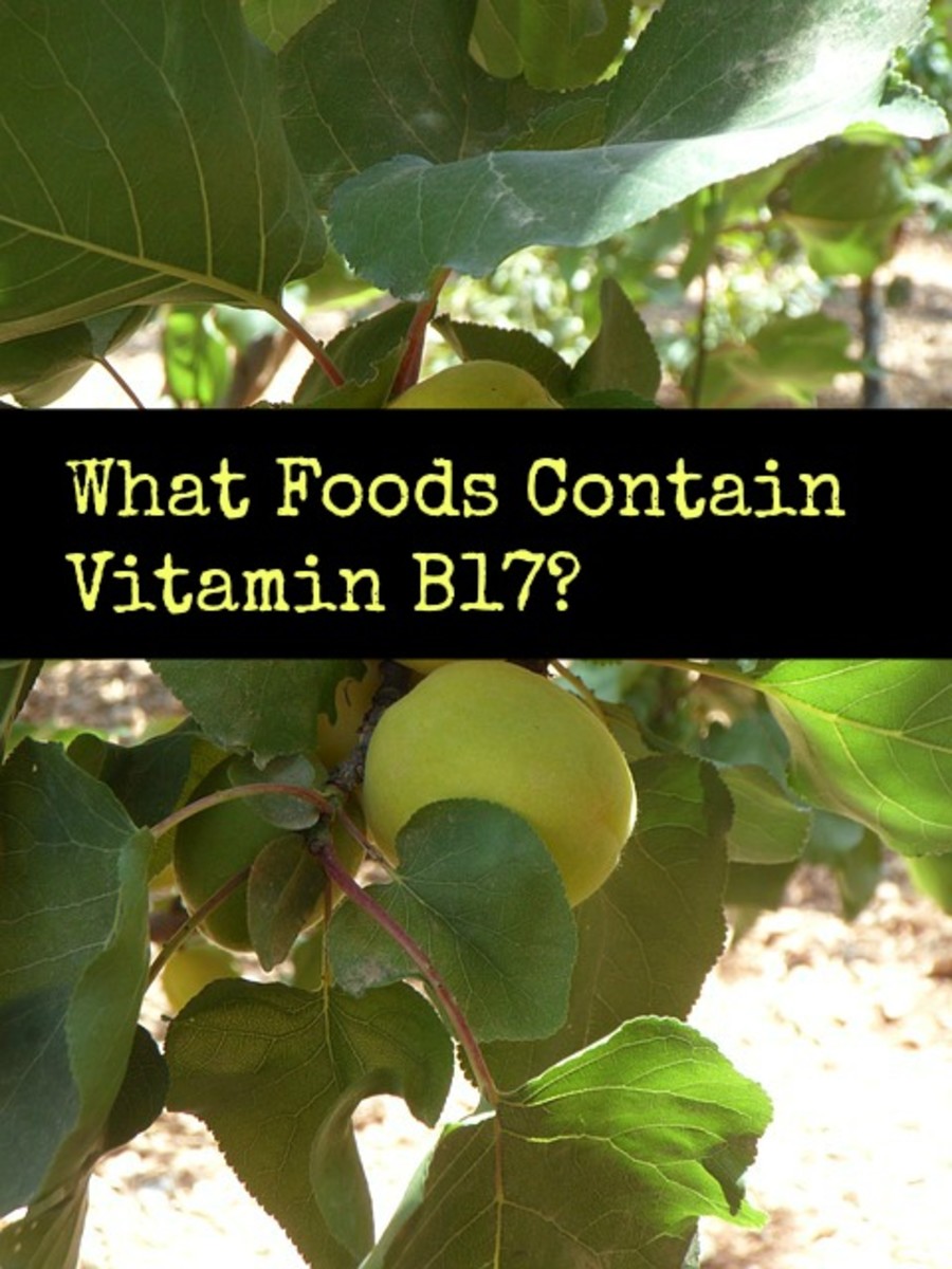 Vitamin B17 Foods Foods Rich in Vitamin B17 hubpages