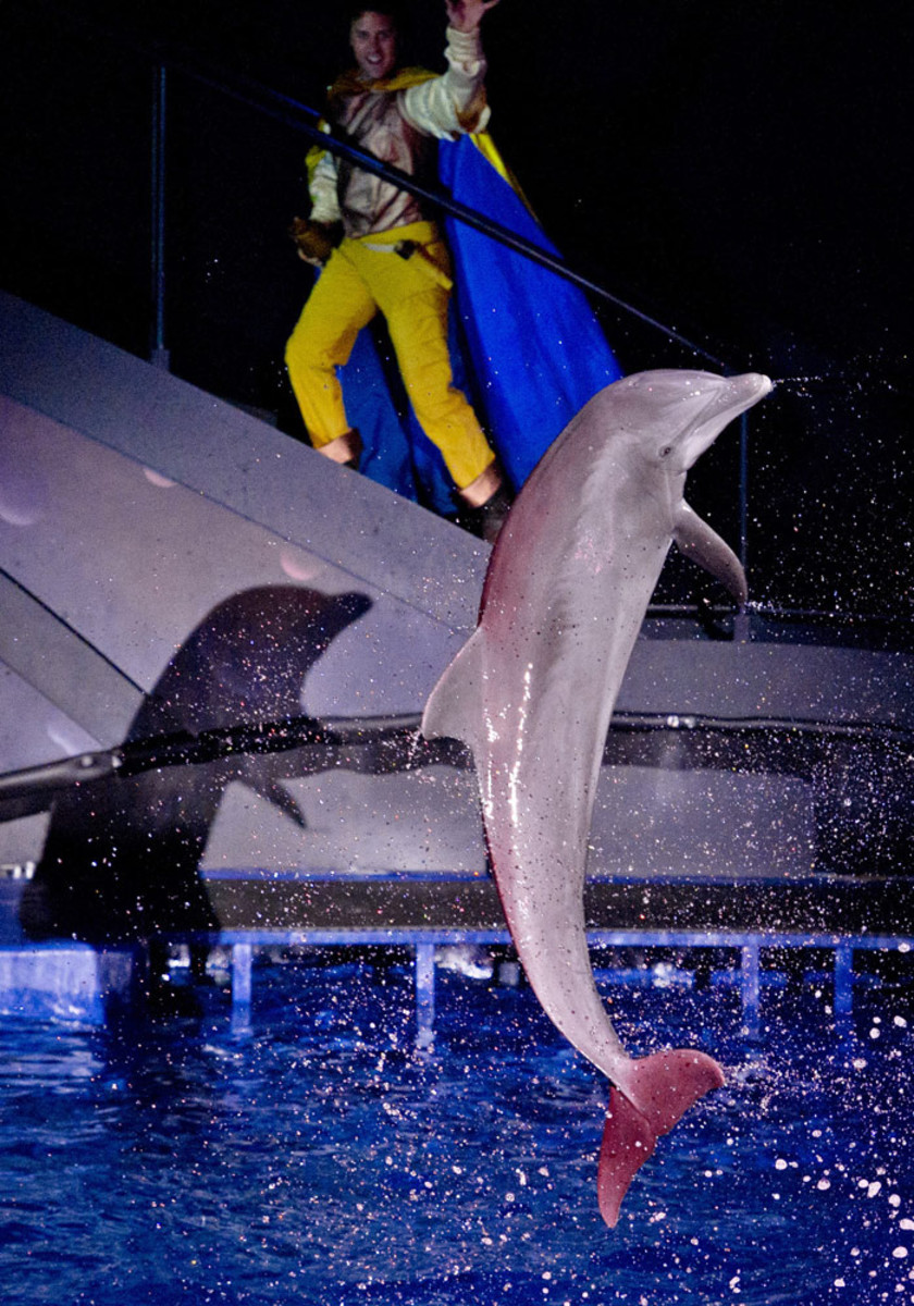 Pros and Cons of Aquarium HubPages