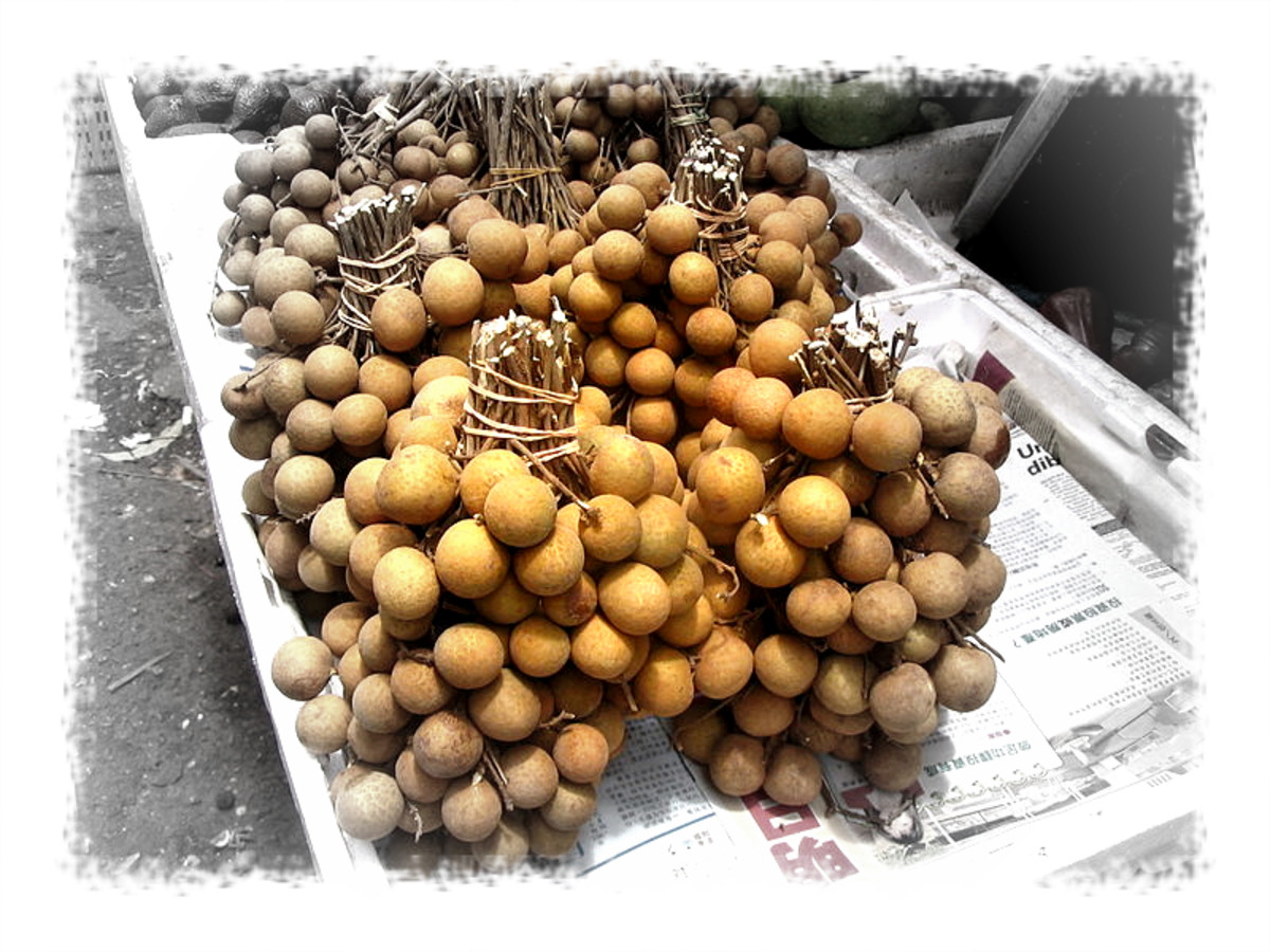 Getting to know the longan and its benefits HubPages