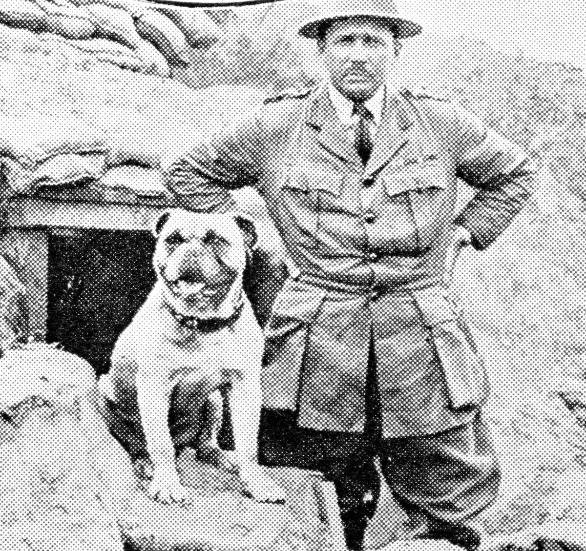 WarDogs of First World War (WWI, First Great European War