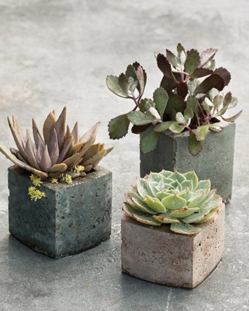 Succulent Gardens for Small Spaces Dengarden