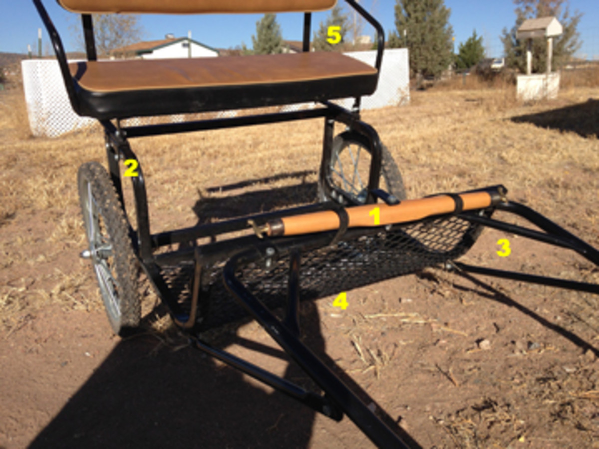 Hitching My Miniature Horse The Easy Entry Cart PetHelpful