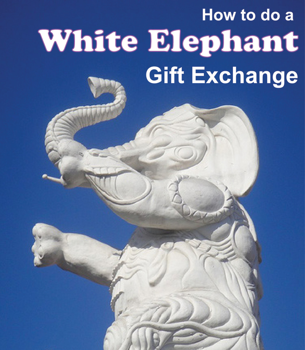 25 Dirty Santa Gift Ideas Under 25 Holidappy