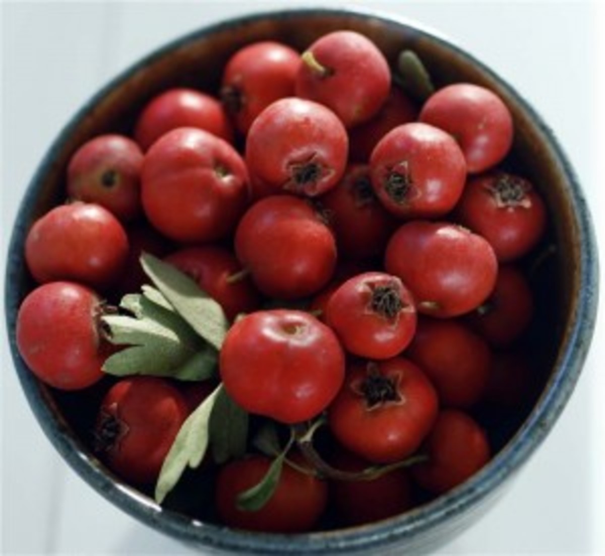 14 Health Benefits of Hawthorn Berries hubpages