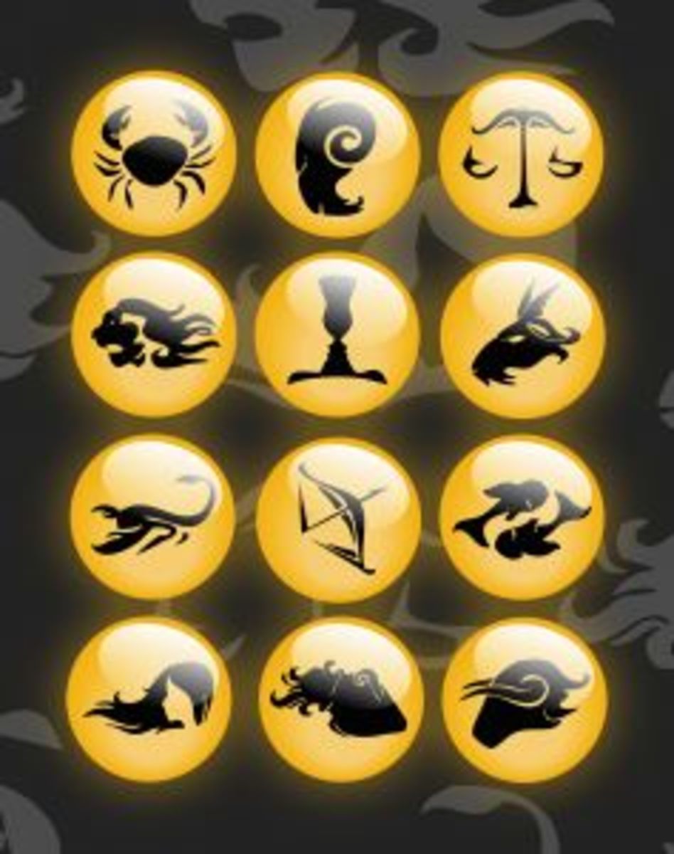 Dog Horoscopes What Zodiac/Star Sign Is Your Dog and What Does It